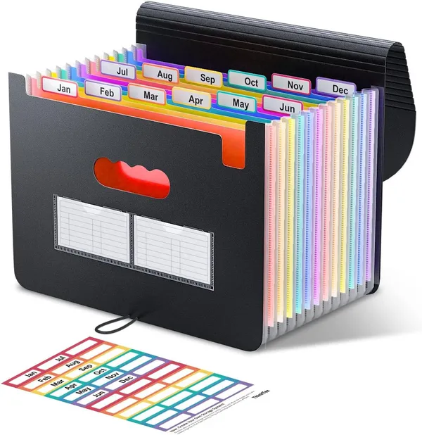 ThinkTex Carpeta acordeón A4, 12 bolsillos